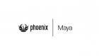 Phoenix Fluid Dynamics for Maya
